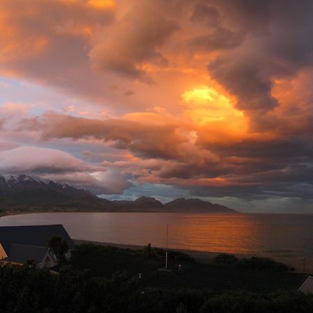 Dolphin Lodge Kaikoura Luaran gambar