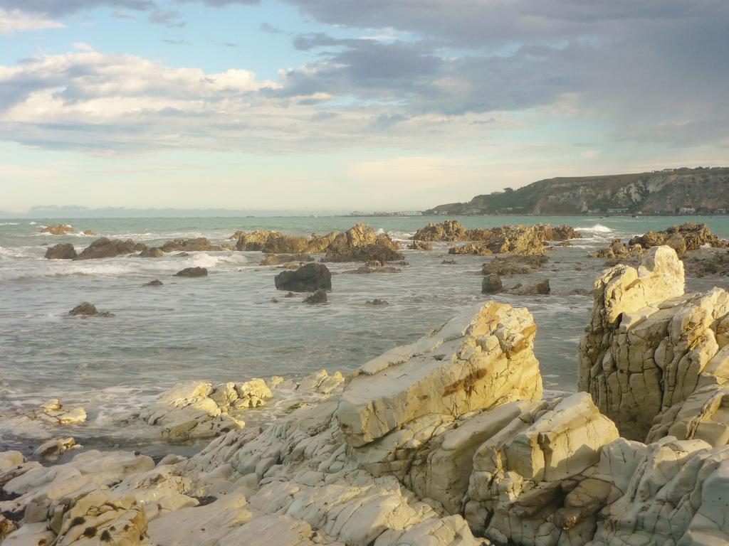 Dolphin Lodge Kaikoura Luaran gambar